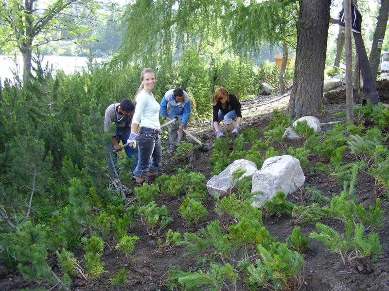 Revitalizcia a krajinrske pravy - TRBSK PLESO