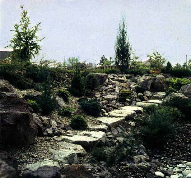 Zlesie