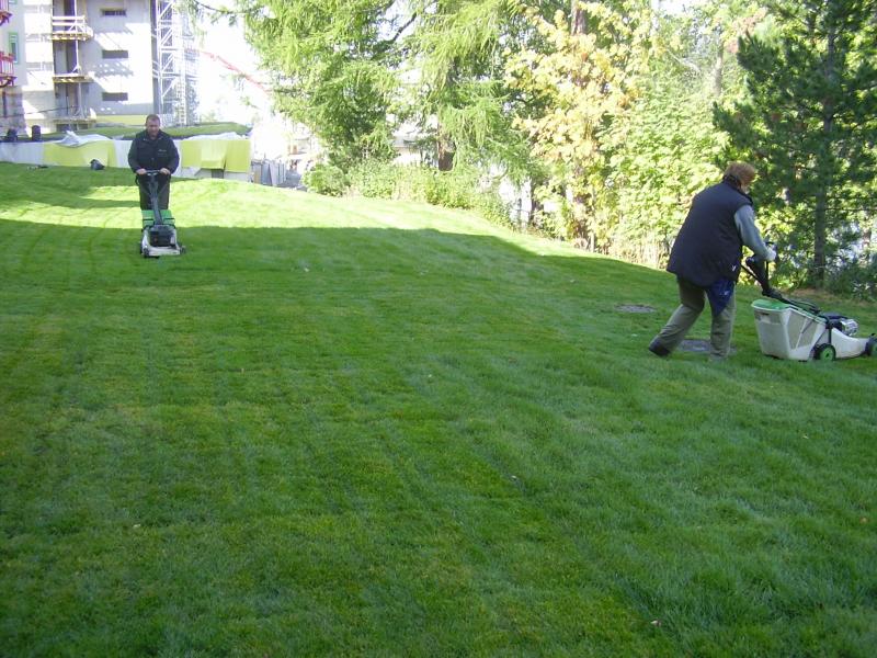 Revitalizcia a krajinrske pravy - TRBSK PLESO