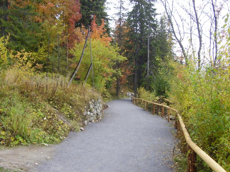 Revitalizcia a krajinrske pravy - TRBSK PLESO