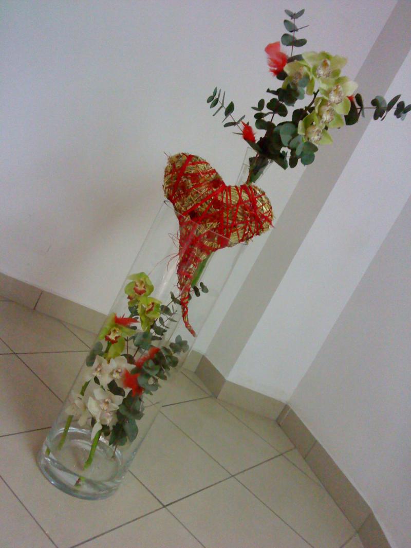 Bez mena (id:309)
