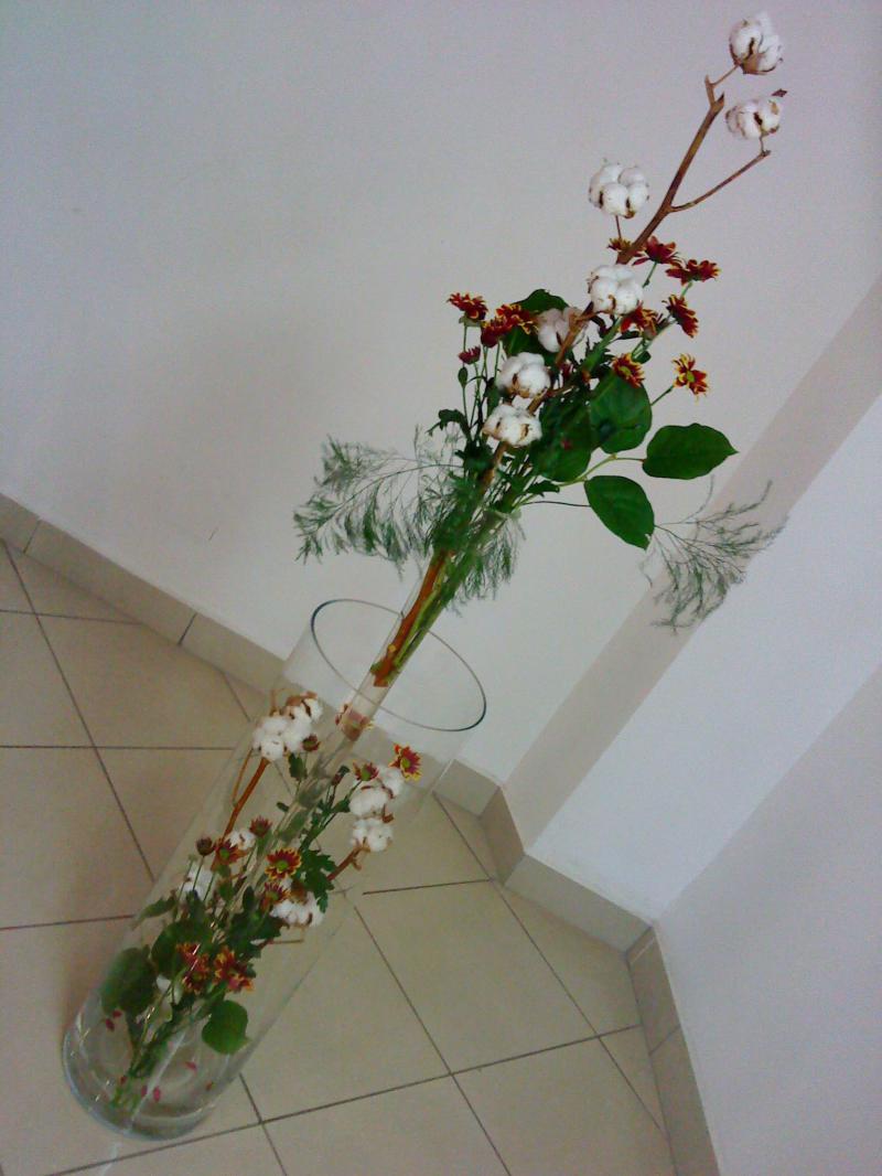 Bez mena (id:318)