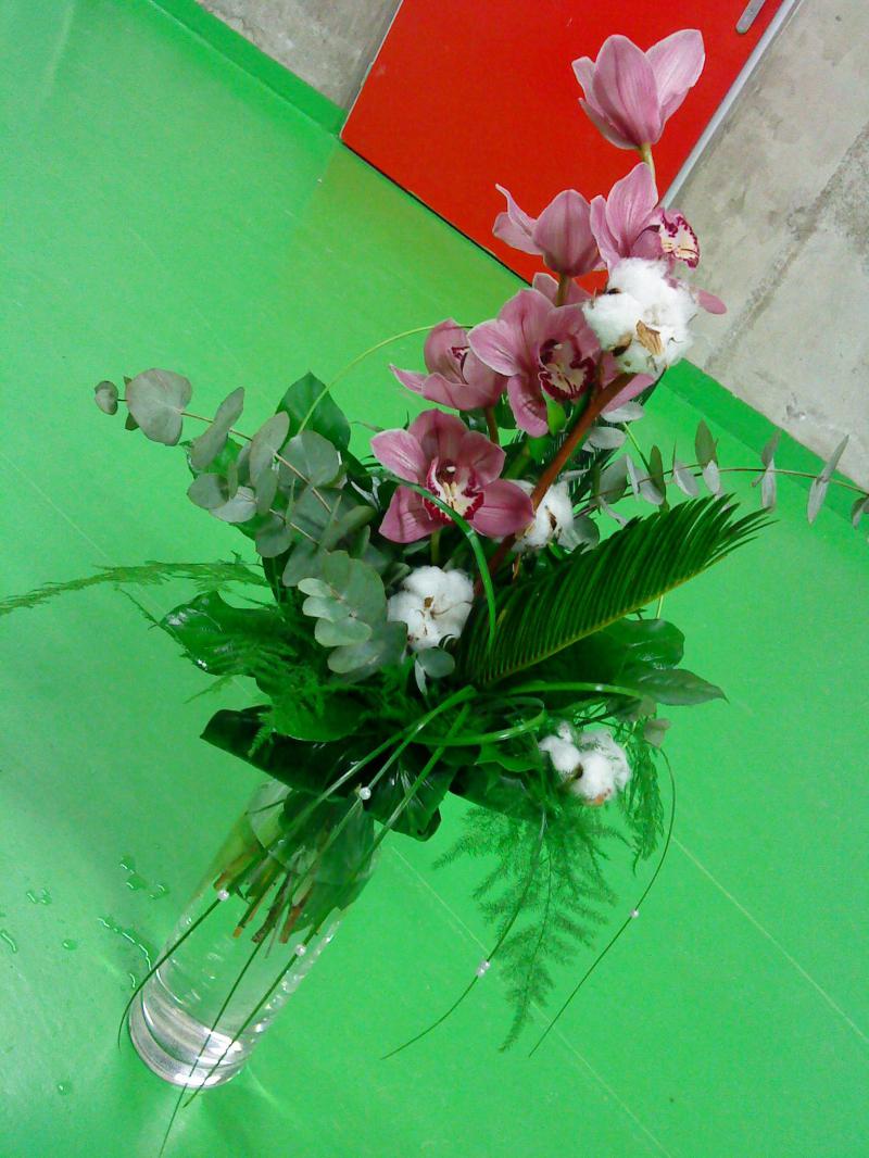 Bez mena (id:323)