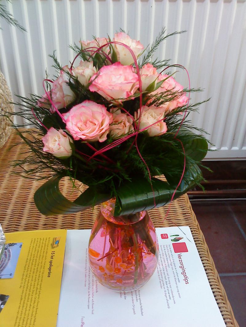 Bez mena (id:324)