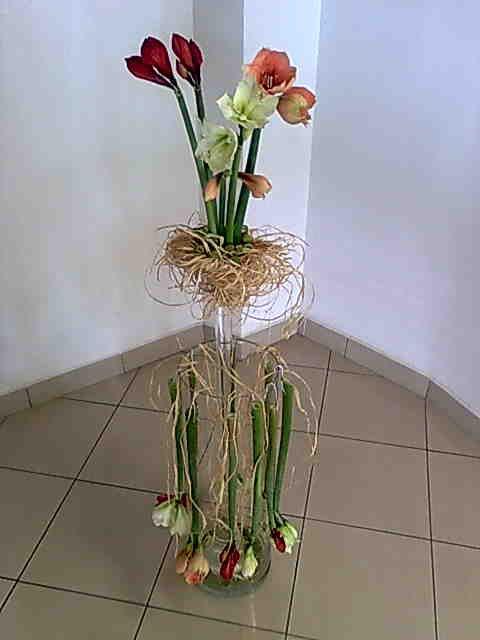 Bez mena (id:342)