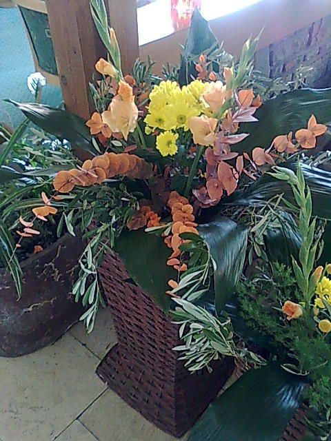 Bez mena (id:364)