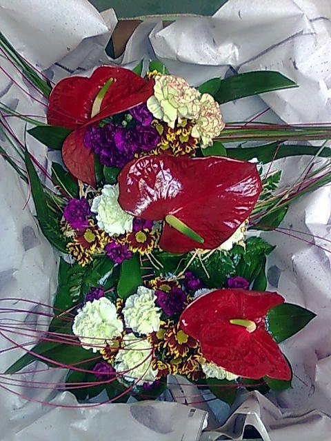 Bez mena (id:375)
