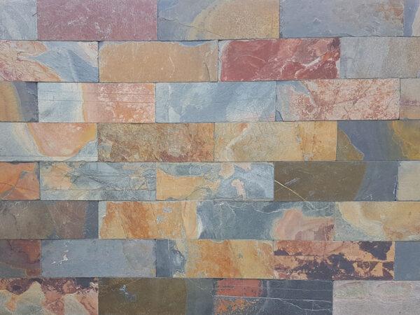 Bridlica Jack Multicolor 30x10 cm hr. 1 cm