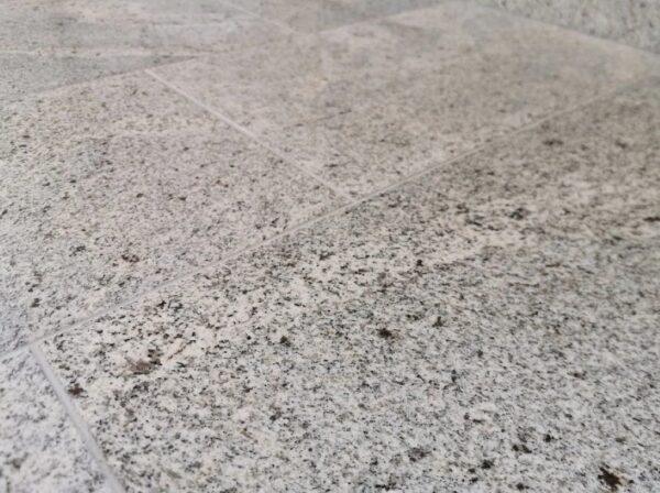 1382-1_lestena-kamenna-dlazba-zo-zuly-frost-white Žula Frost White 61 cm x 30,5 cm x 1 cm - leštená