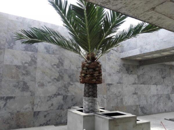 Bridlica South Grey 244 cm x 122 cm x 2 mm - kamenná dyha